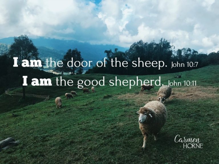 A Gate, A Shepherd, and His Sheep
