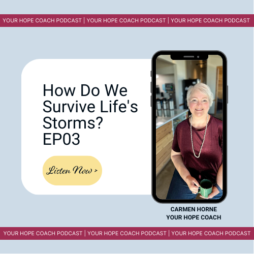 How Do We Survive Life’s Storms? | EP03
