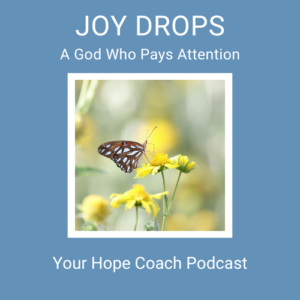 Joy Drops: A God Who Pays Attention | EP60